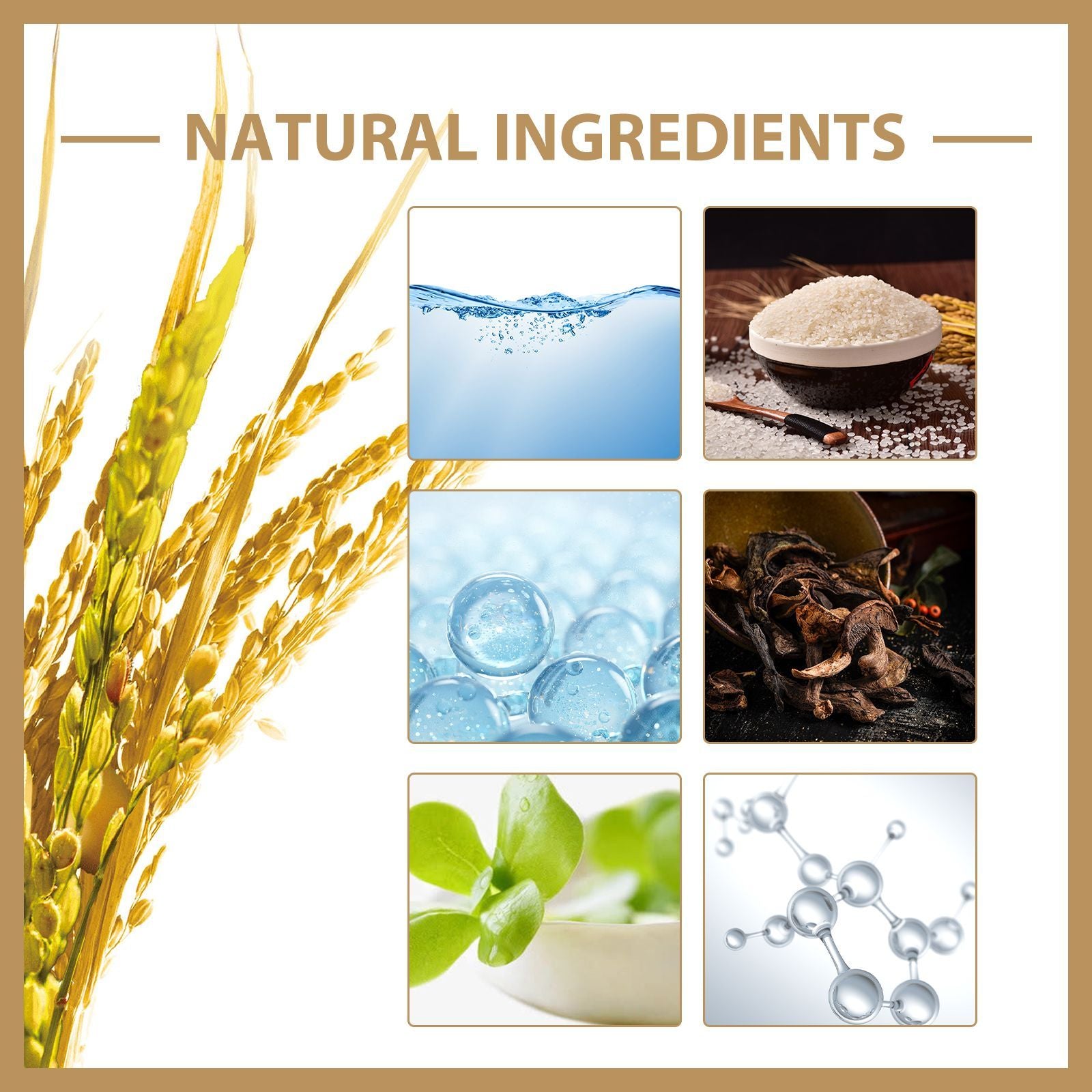 EELHOE Rice Toner with natural rice extract ingredients displayed