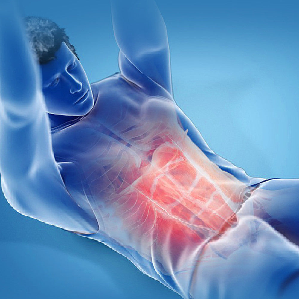Person using abdominal toner for core strengthening workout